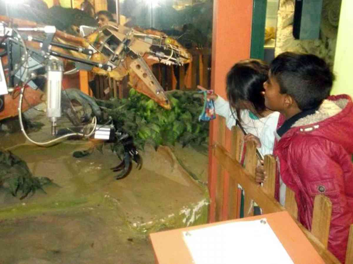 Dinosaur Isle picture gallery
